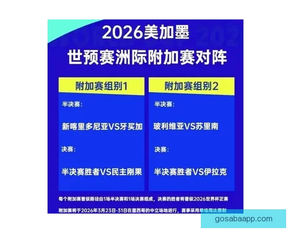 2026年世界杯主办城市揭晓 全球赛事分布与各地特色文化探索